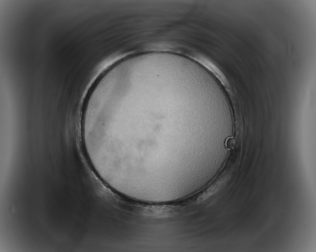 X0000084541000200703021439