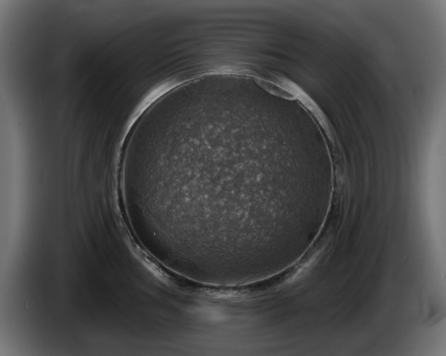X0000084541002200703021439