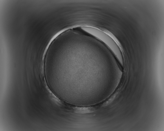 X0000084541004200703021439