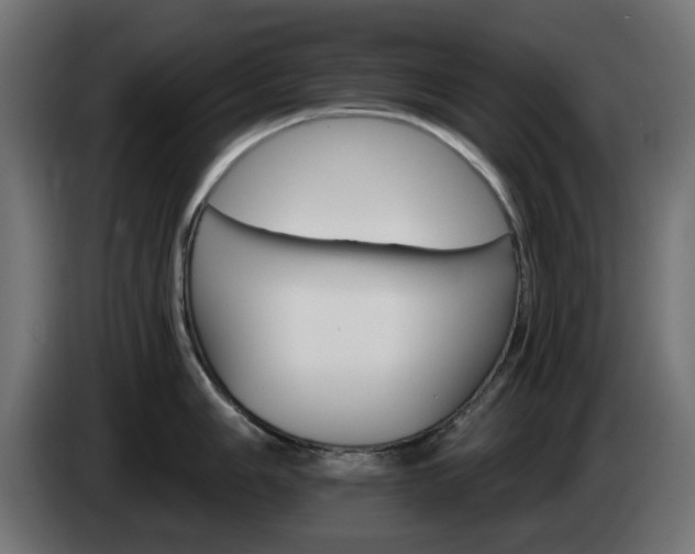 X0000084541006200703021439