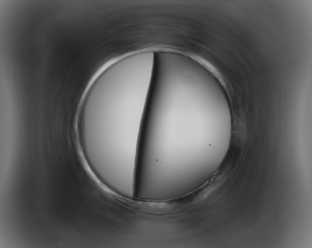 X0000084541007200703021439
