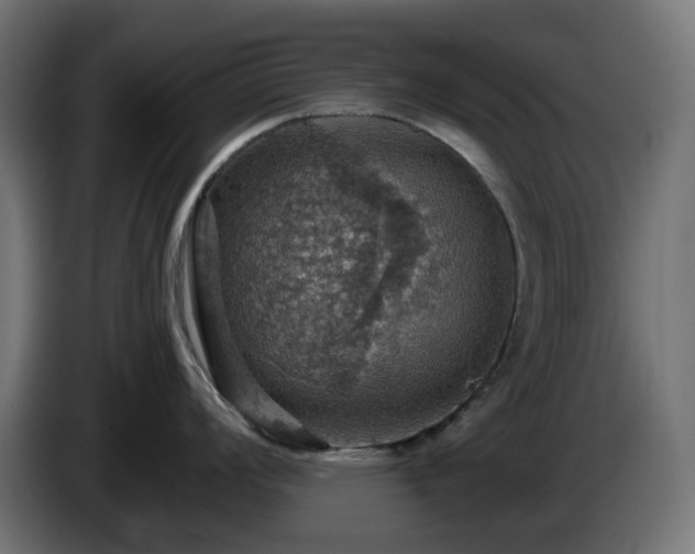 X0000084541008200703021439