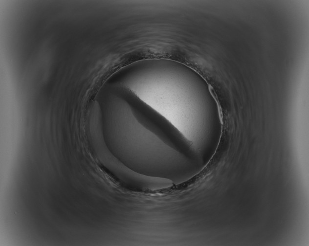 X0000084541009200703021439