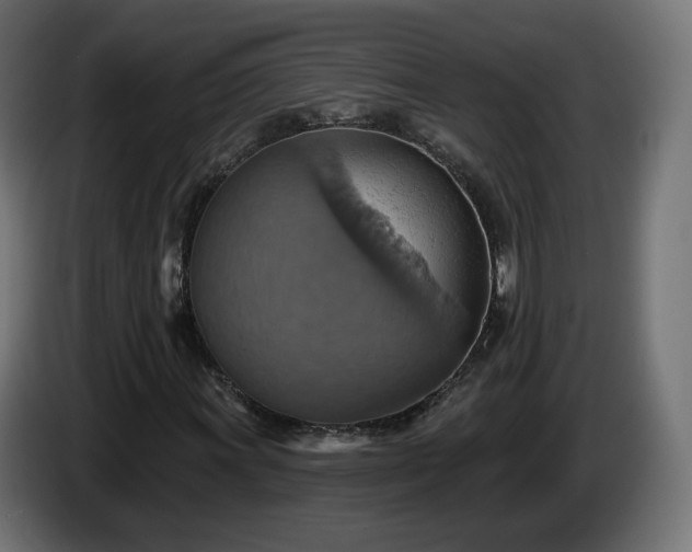 X0000084541011200703021439