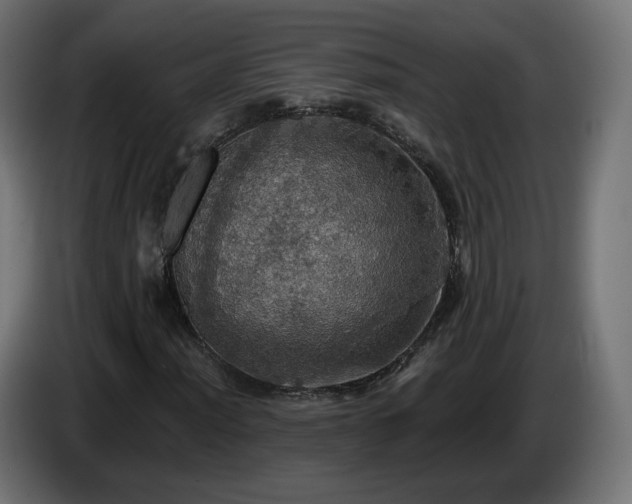 X0000084541012200703021439