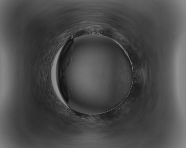 X0000084541013200703021439