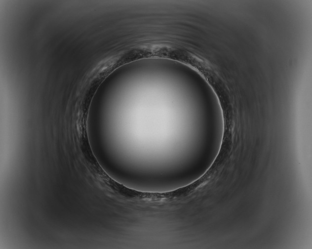 X0000084541014200703021439