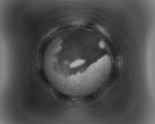 X0000084541015200703021439