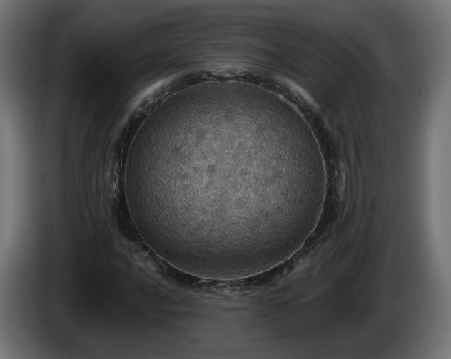 X0000084541016200703021439