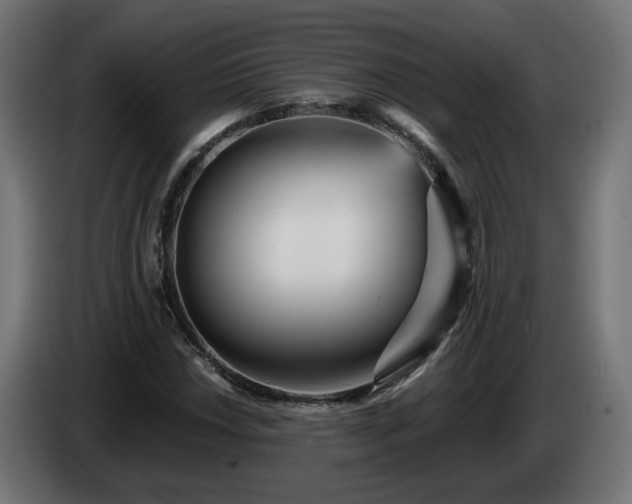 X0000084541018200703021439