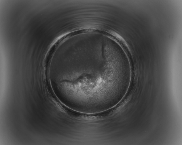 X0000084541019200703021439