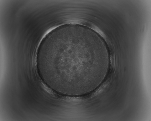 X0000084541020200703021439