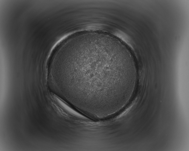 X0000084541021200703021439