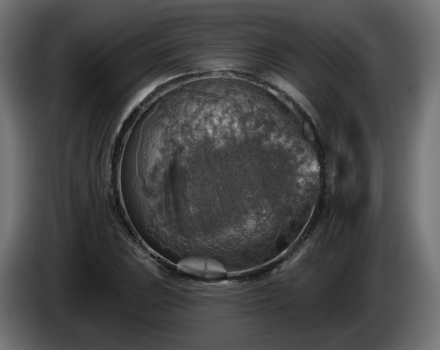 X0000084541023200703021439