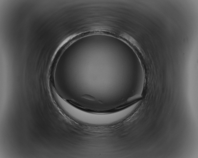 X0000084541024200703021439