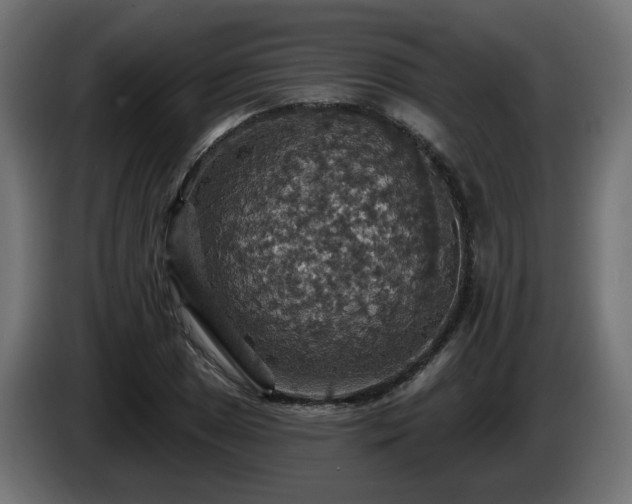 X0000084541025200703021439