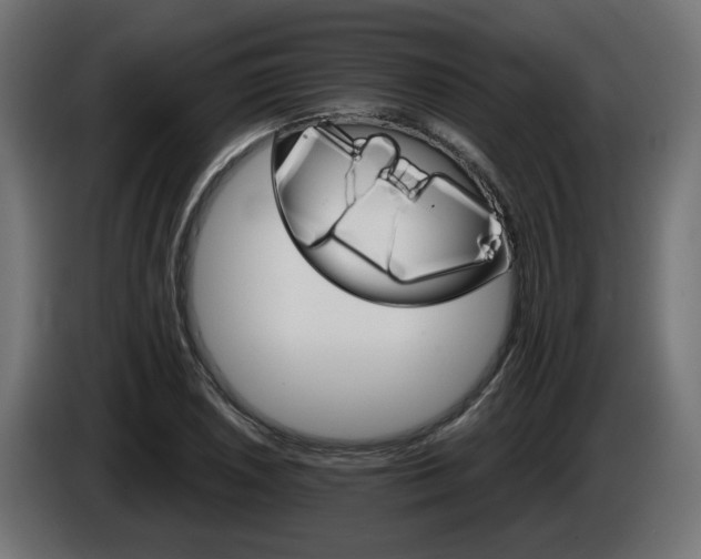X0000084541026200703021439