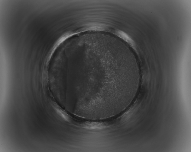 X0000084541027200703021439