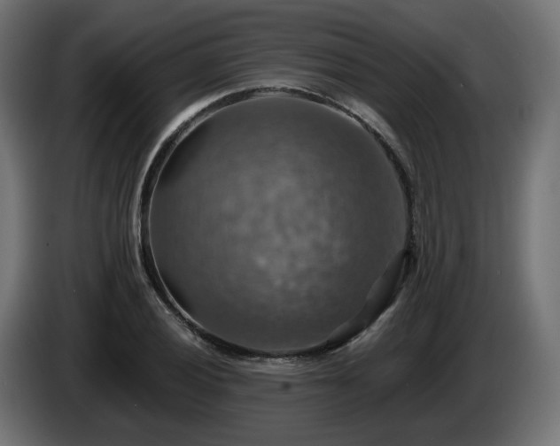 X0000084541028200703021439