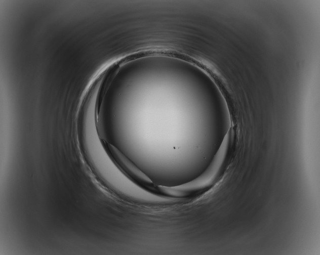 X0000084541030200703021439