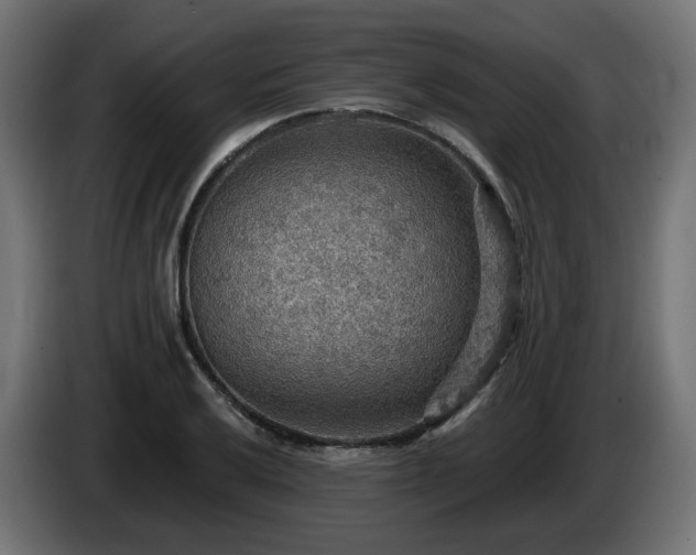 X0000084541032200703021439