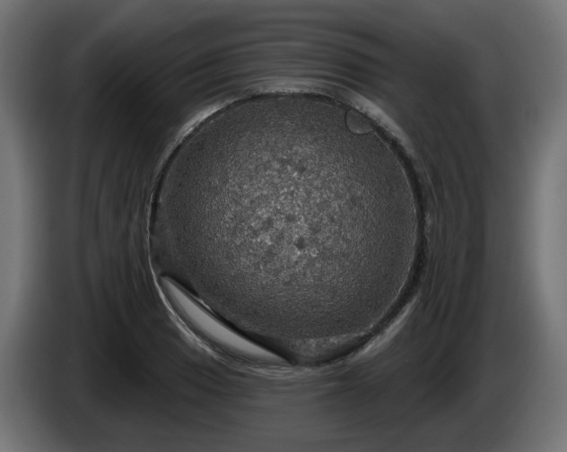 X0000084541033200703021439