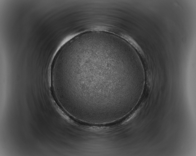 X0000084541036200703021439