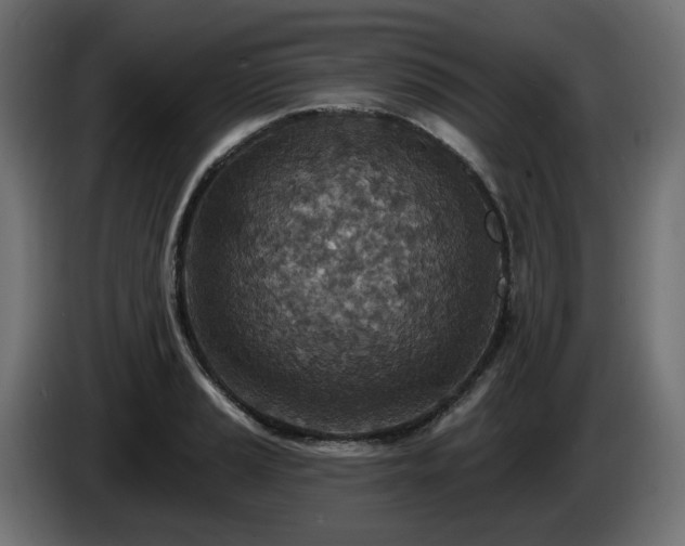 X0000084541037200703021439