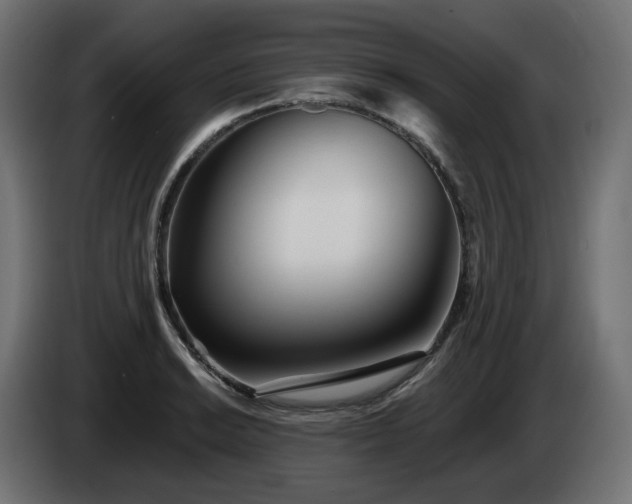 X0000084541038200703021439