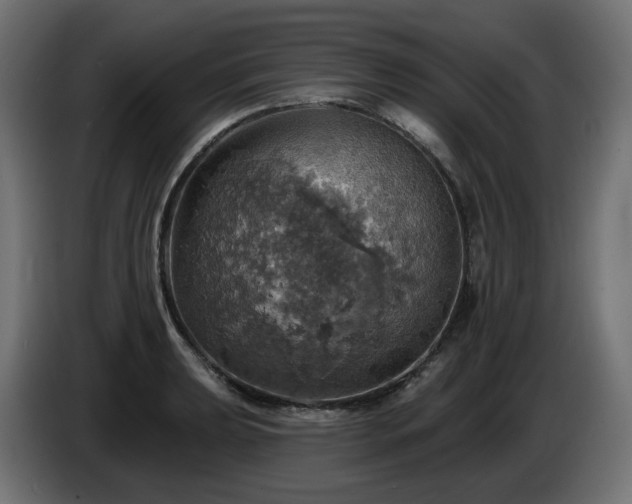X0000084541039200703021439