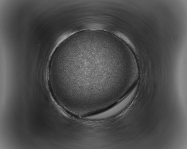 X0000084541040200703021439