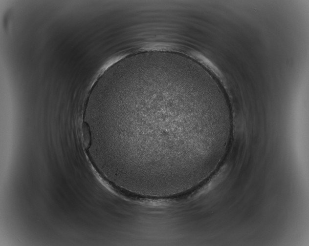 X0000084541041200703021439