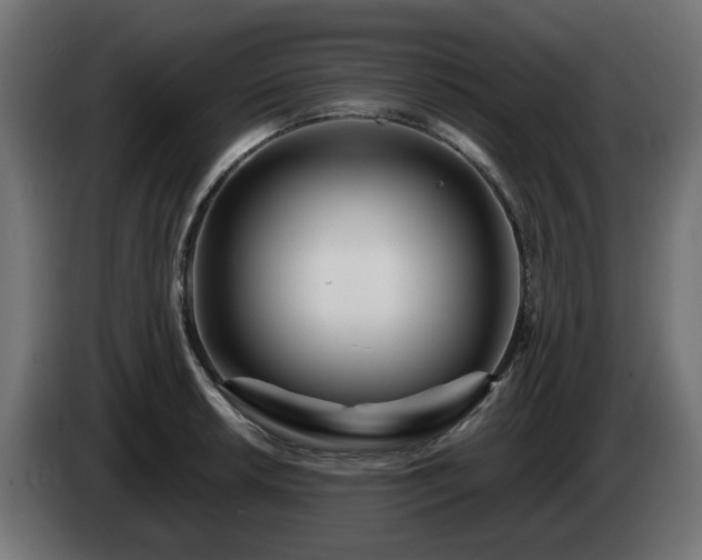 X0000084541042200703021439