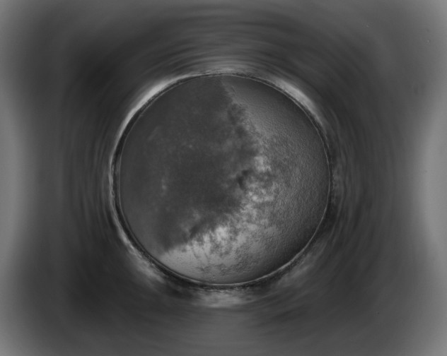 X0000084541047200703021439