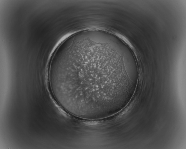 X0000084541048200703021439