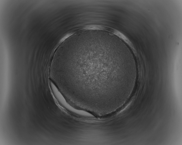 X0000084541049200703021439
