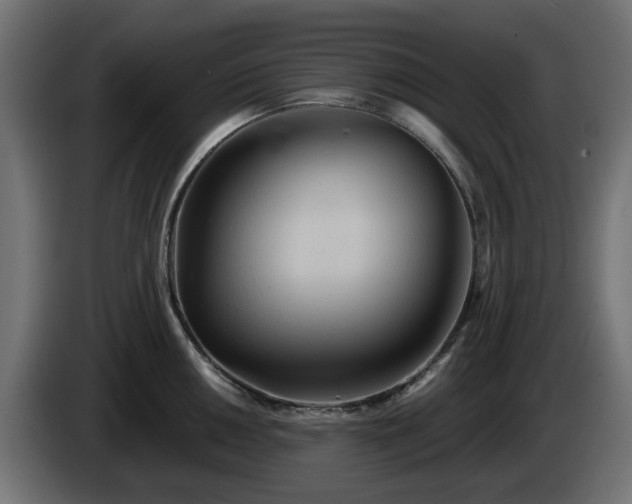 X0000084541050200703021439