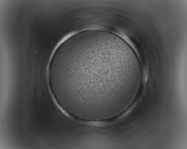 X0000084541053200703021439