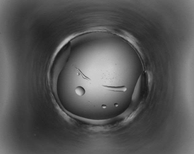 X0000084541054200703021439