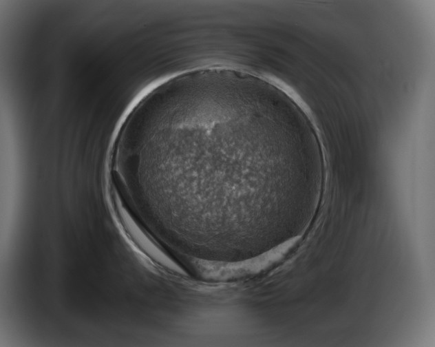 X0000084541056200703021439