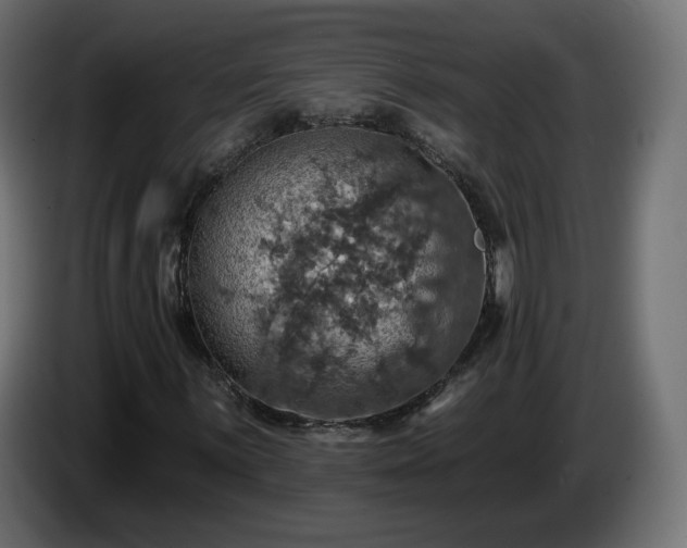 X0000084541059200703021438
