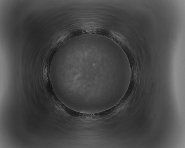 X0000084541060200703021438