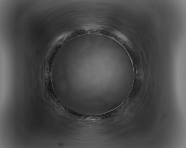 X0000084541063200703021438