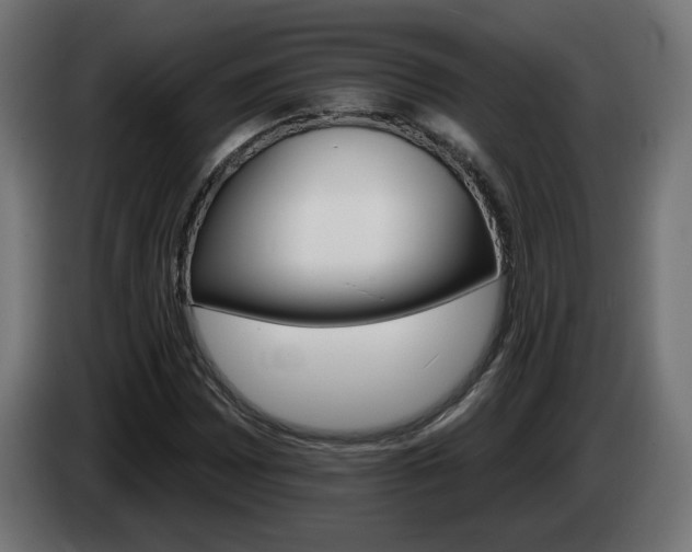 X0000084541065200703021438
