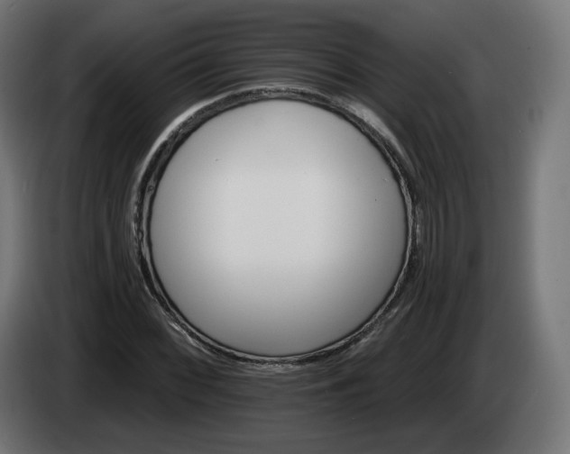 X0000084541068200703021438