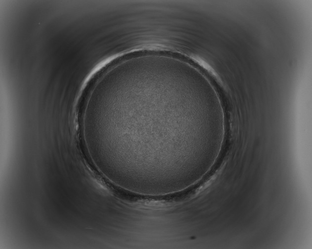 X0000084541070200703021438