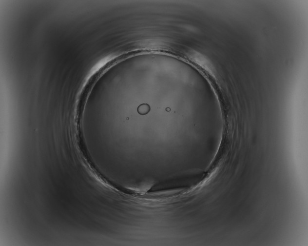 X0000084541071200703021438