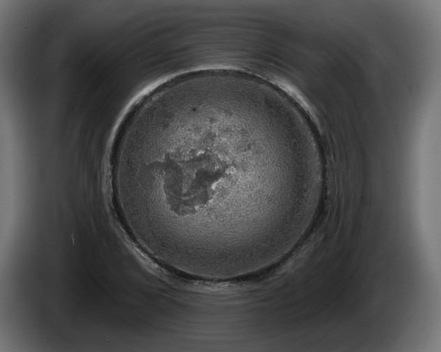 X0000084541072200703021438