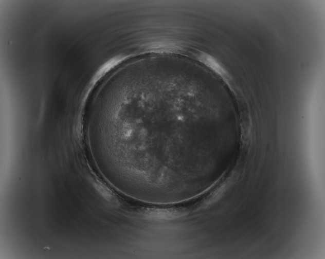 X0000084541074200703021438