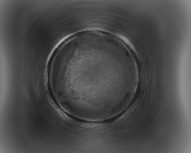 X0000084541076200703021438